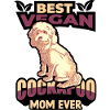 Cockapoo Hund