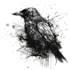 Black crow - gloomy illustration