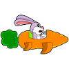 Rabbit Airplane Carrot