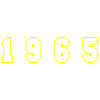 1965 Year Number