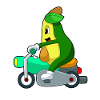 Moto Avocado