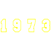 1973 Year Number