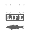 Fishing hobby