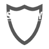Security Lil' Sister Protection Squad Big Brother