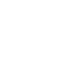Human Design 4/1 Profile
