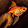 Goldfisch