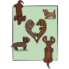 Dachshund