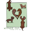 Dachshund Design "Wiener Dog"