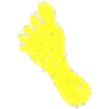 yellow foot mosaic
