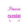 c'est compliqué princesse et caissière
