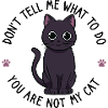 Chat noir mignon