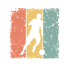 Soccer retro