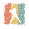 Baseball retro