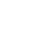 Raptor skeleton