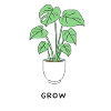 Grow - plant lovers
