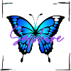 Butterfly Design