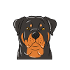 Don't Mess With My Rottweiler