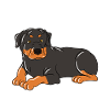 Fière mère d’un Rottweiler
