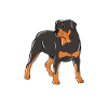 Rottweiler Mama