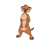 Kawaii Meerkat