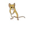 Kawaii grasshopper mouse