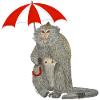 Affe Regenschirm