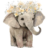 éléphant mignon