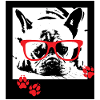 French Bulldog Dog