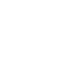 USA Flag Endoscopy Nurse America