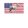 Appaloosa Equestrian Horse