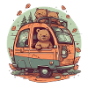 Camping bears