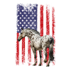 Appaloosa Equestrian Horse