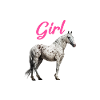 Appaloosa Equestrian Horse