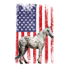 Appaloosa Equestrian Horse