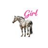 Appaloosa Equestrian Horse