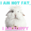 I am not fat