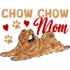 Chow Chow Dog
