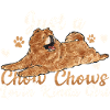 Chow Chow Hund