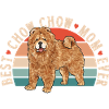 Chow Chow Dog
