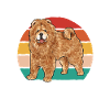 Chow Chow Dog