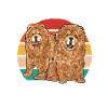 Chow Chow Dog
