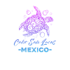 Mexique Cabo