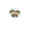 Otter