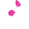 Fleuriste Fleur Plante Nature Jardinier