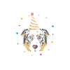 Australian Shepherd Gifts