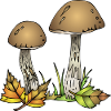 Pilze
