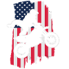 Dirt Bike USA