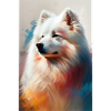 Samojed Hund Kjæledyr Hunder Maling Hund