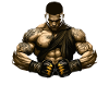 MMA