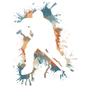 Eishockey Ice Hockey